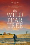 THE WILD PEAR TREE [poster]