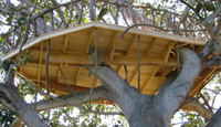 TANGIER TREEHOUSE