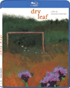 DRY LEAF [blu-ray]